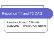 Report%20on%20T1%20and%20T2%20DAQ