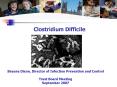 Clostridium difficile PowerPoint PPT Presentation