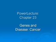 PowerLecture: Chapter 23