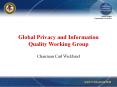 Global Privacy and Information Quality Working Group PowerPoint PPT Presentation