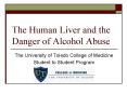 The Human Liver and the Danger of Alcohol Abuse PowerPoint PPT Presentation