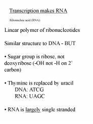 Ribonucleic acid RNA: