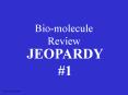 Biomolecule Review PowerPoint PPT Presentation