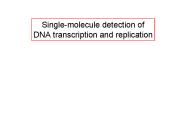 Singlemolecule detection of DNA transcription and replication