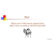 Perl