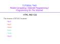 TUTORIAL TWO Mobile Computing Internet Programming Programming On The Internet PowerPoint PPT Presentation