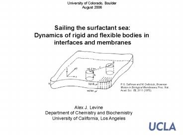 Sailing the surfactant sea: