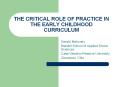 THE%20CRITICAL%20ROLE%20OF%20PRACTICE%20IN%20THE%20EARLY%20CHILDHOOD%20CURRICULUM PowerPoint PPT Presentation