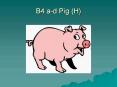 B4 a-d Pig (H) PowerPoint PPT Presentation