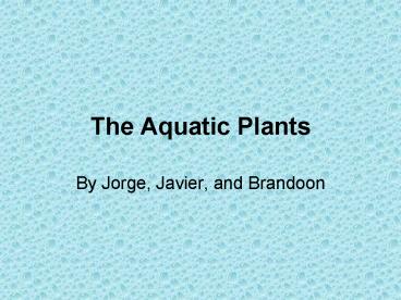 The Aquatic Plants
