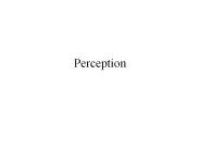 Perception