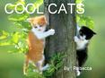 COOL CATS PowerPoint PPT Presentation