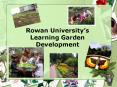 Rowan Universitys Learning Garden Development PowerPoint PPT Presentation