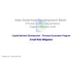 InterAmerican Development Bank Private Sector Department Capital Markets Unit PowerPoint PPT Presentation