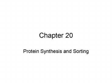 Protein Synthesis and Sorting