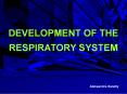 DEVELOPMENT OF THE RESPIRATORY SYSTEM PowerPoint PPT Presentation