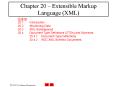 Chapter 20 Extensible Markup Language XML PowerPoint PPT Presentation
