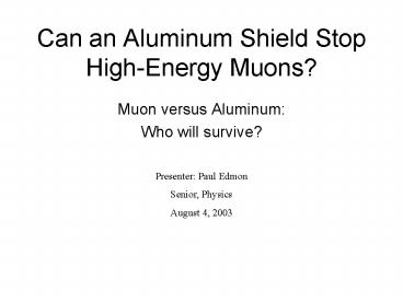 Can an Aluminum Shield Stop HighEnergy Muons