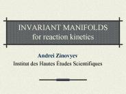 INVARIANT MANIFOLDS for reaction kinetics