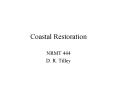 Coastal Restoration PowerPoint PPT Presentation