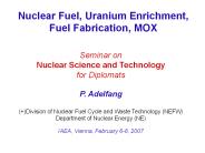 Nuclear Fuel, Uranium Enrichment, Fuel Fabrication, MOX