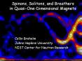 Spinons, Solitons, and Breathers in Quasi-One-Dimensional Magnets PowerPoint PPT Presentation