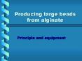 Producing large beads from alginate PowerPoint PPT Presentation