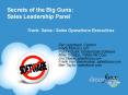 Secrets of the Big Guns: Sales Leadership Panel PowerPoint PPT Presentation