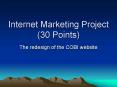 Internet Marketing Project 30 Points PowerPoint PPT Presentation