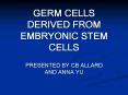 GERM CELLS DERIVED FROM EMBRYONIC STEM CELLS PowerPoint PPT Presentation
