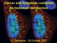 Cancer and Apoptosis combined