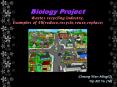 Biology Project Wastes recycling industry, Examples of 4Rreduce,recycle,reuse,replace PowerPoint PPT Presentation