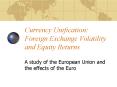 Currency Unification: Foreign Exchange Volatility and Equity Returns PowerPoint PPT Presentation