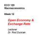 ECO 120 Macroeconomics Week 12 PowerPoint PPT Presentation