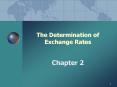 The Determination of Exchange Rates PowerPoint PPT Presentation