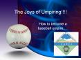 The Joys of Umpiring PowerPoint PPT Presentation