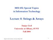 MSI 692: Special Topics