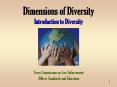 Dimensions of Diversity Introduction to Diversity PowerPoint PPT Presentation