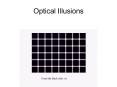 Optical Illusions PowerPoint PPT Presentation