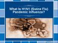 What Is H1N1 Swine Flu Pandemic Influenza PowerPoint PPT Presentation