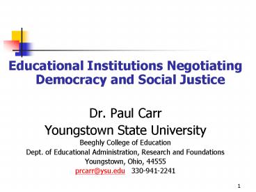 Educational Institutions Negotiating Democracy and Social Justice