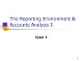 The Reporting Environment PowerPoint PPT Presentation