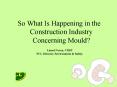 So What Is Happening in the Construction Industry Concerning Mould PowerPoint PPT Presentation