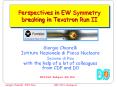 Perspectives in EW Symmetry breaking in Tevatron Run II PowerPoint PPT Presentation