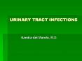 URINARY TRACT INFECTIONS PowerPoint PPT Presentation