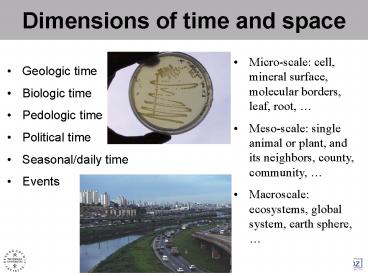 presentation player overlay