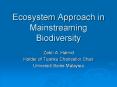 Ecosystem Approach in Mainstreaming Biodiversity PowerPoint PPT Presentation