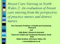 Breast Care Nursing in North Wales 2: An evaluation of breast care nursing from the perspective of p PowerPoint PPT Presentation