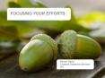 Focusing your efforts PowerPoint PPT Presentation