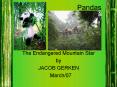 Pandas PowerPoint PPT Presentation